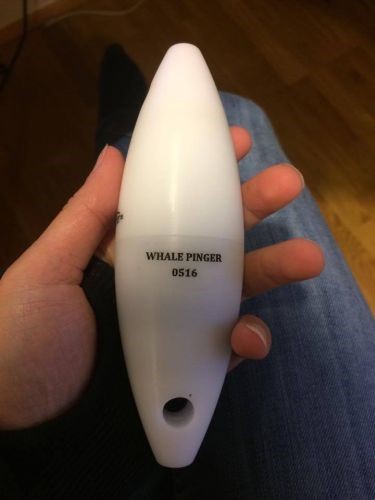 Charla-whalepinger.jpg (1)