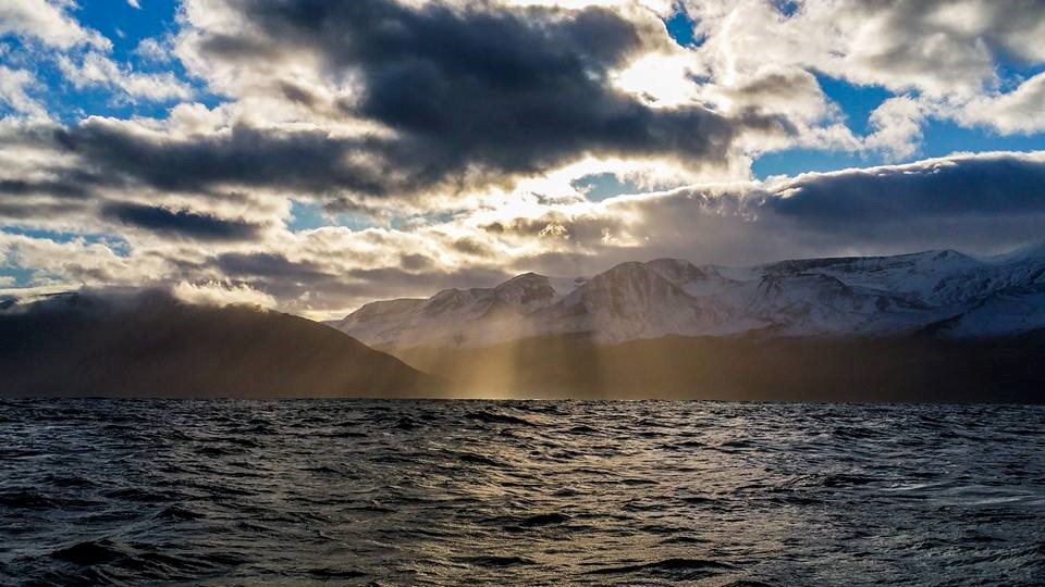 SA_Play of Lights and Flukes3.jpg