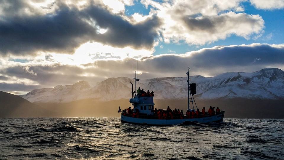 SA_Play of Lights and Flukes4.jpg