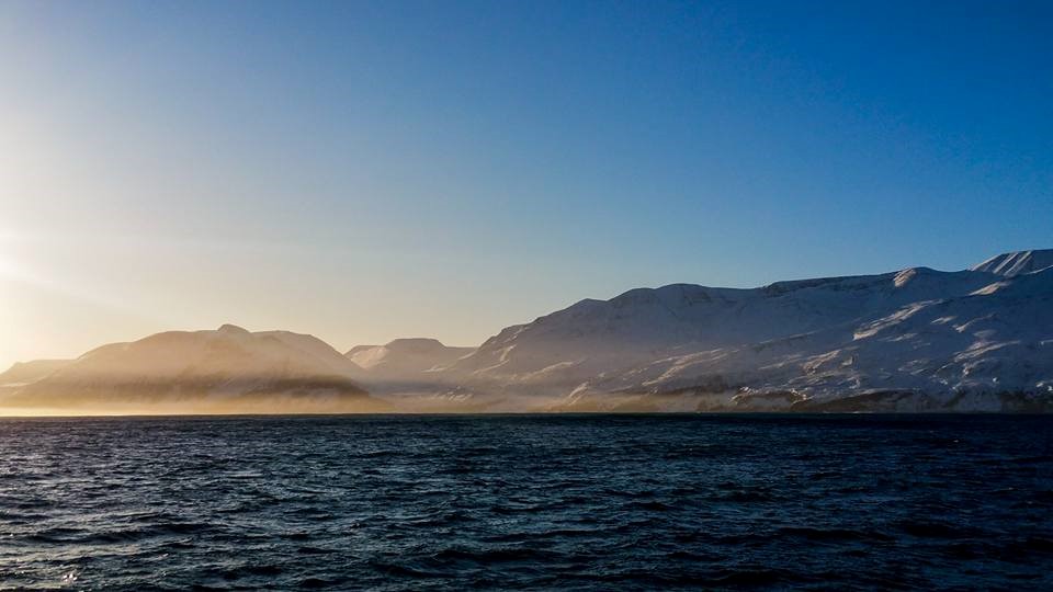 SA_November starting great2.jpg