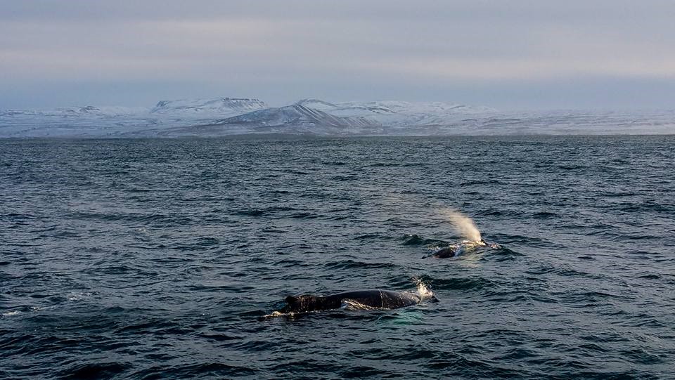 SA_November starting great3.jpg