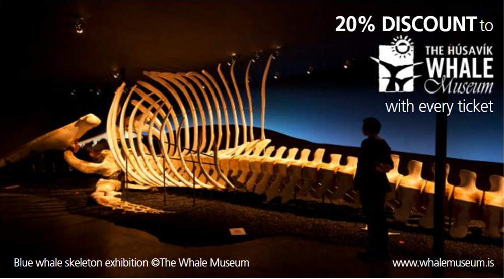 Húsavík Whale Museum - Discount for Gentle Giants Customers
