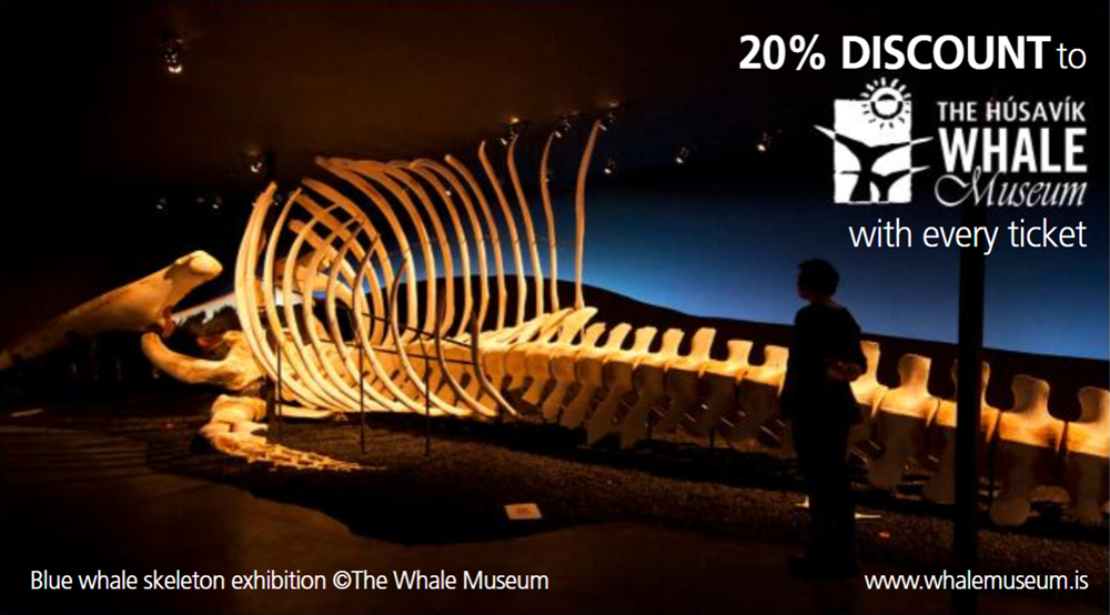 Húsavík Whale Museum discount