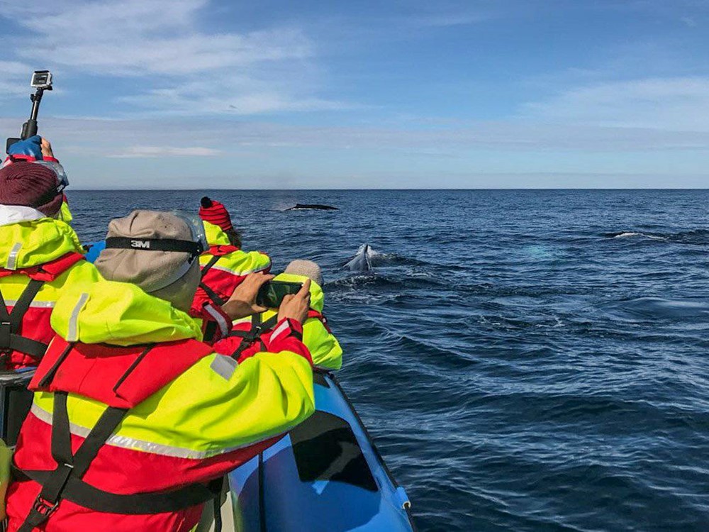 ANB_Whale Festival 2.jpg