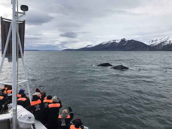 thumbnail_IMG_2562.jpg (1)