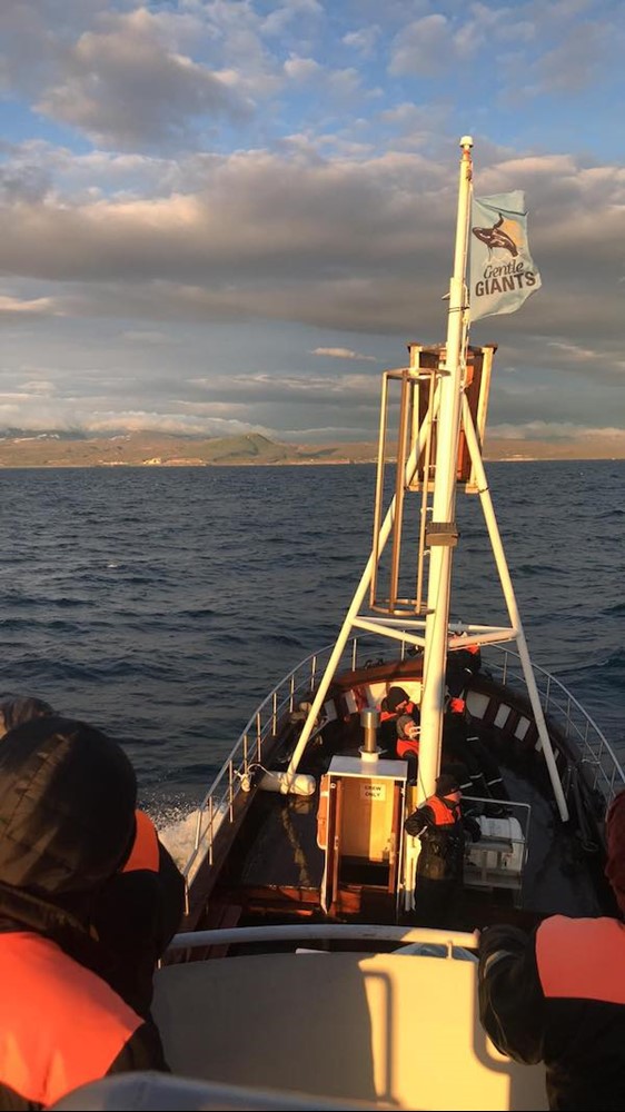 35483258_2113080302040838_5851818277088526336_n.jpg (1)