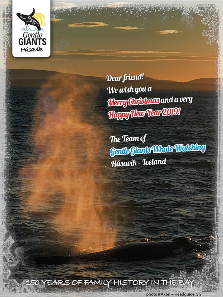 Christmas Greeting 2018 - Gentle Giants Whale Watching Húsavík Iceland