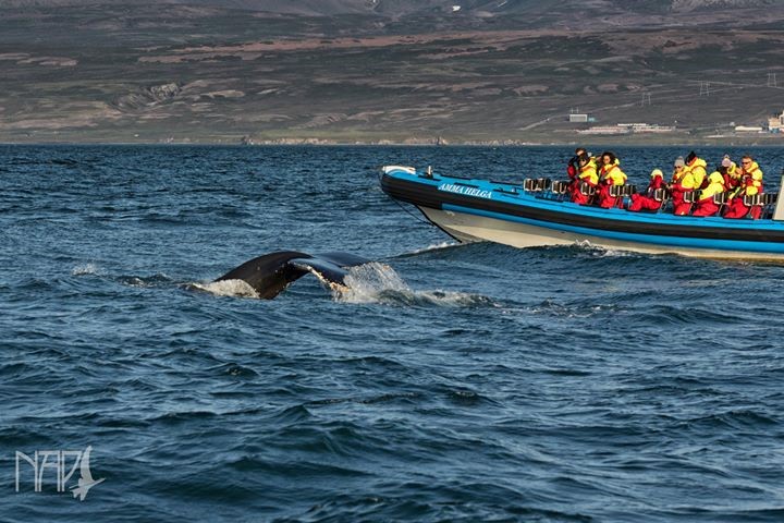 Rafal Niziolek passenger Facebook3.jpg