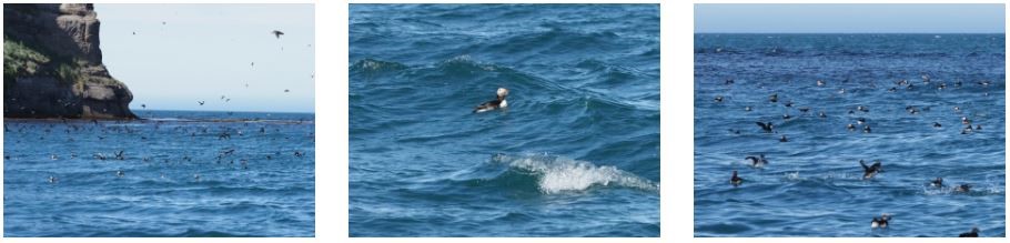 Christel Loman_blog3.JPG