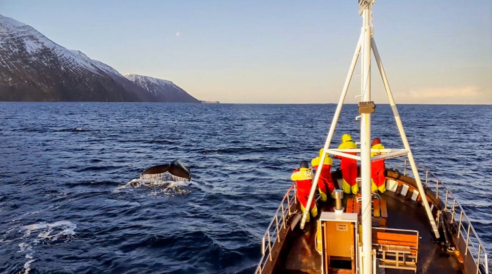 SA_November Sailing 1.jpg