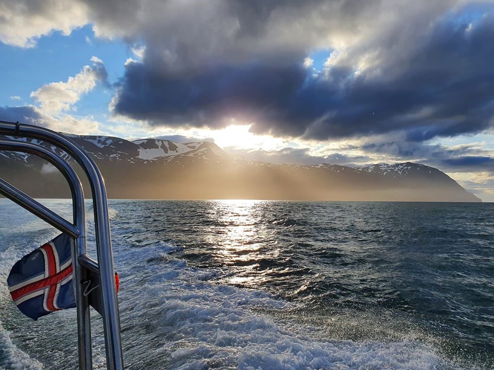 Húsavík, Iceland unique experiences Flatey Island Gentle Giants