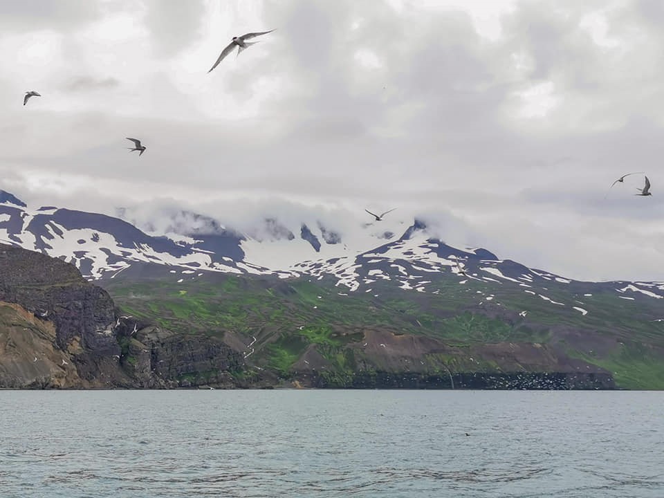 SA_STORY OF LIGHTS AND COLOURS10.jpg