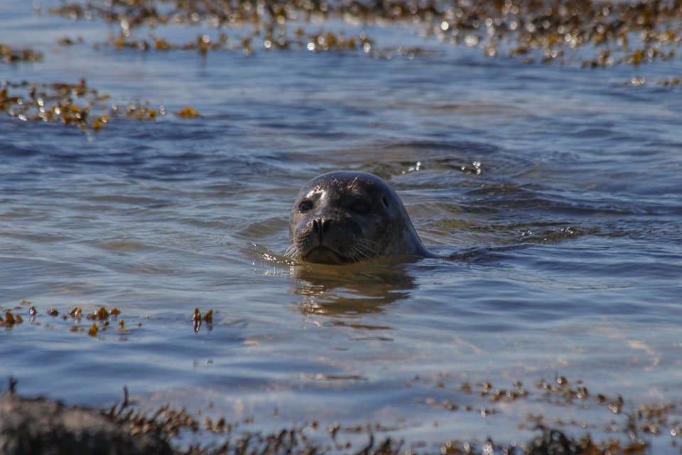 SA_STORY OF LIGHTS AND COLOURS1.jpg