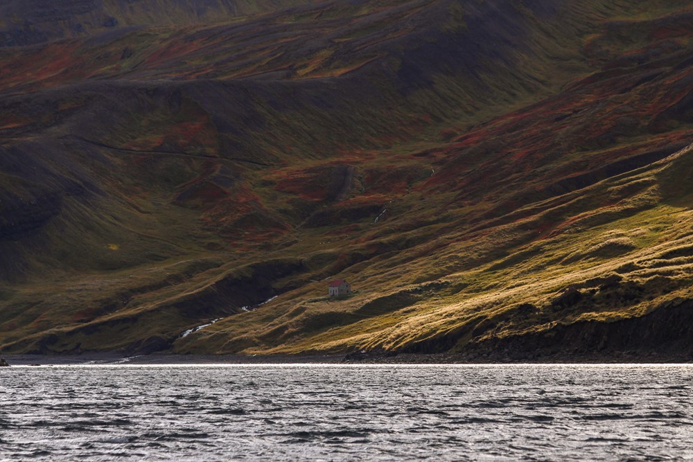 SA_Perfect autumn whale watching7.jpg