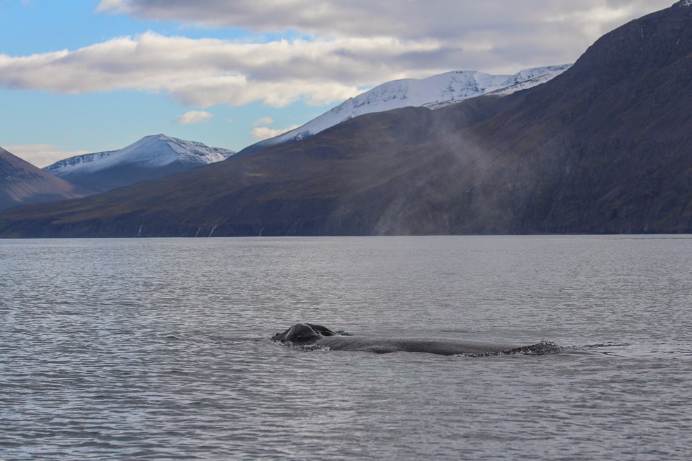 SA_end of season2.jpg