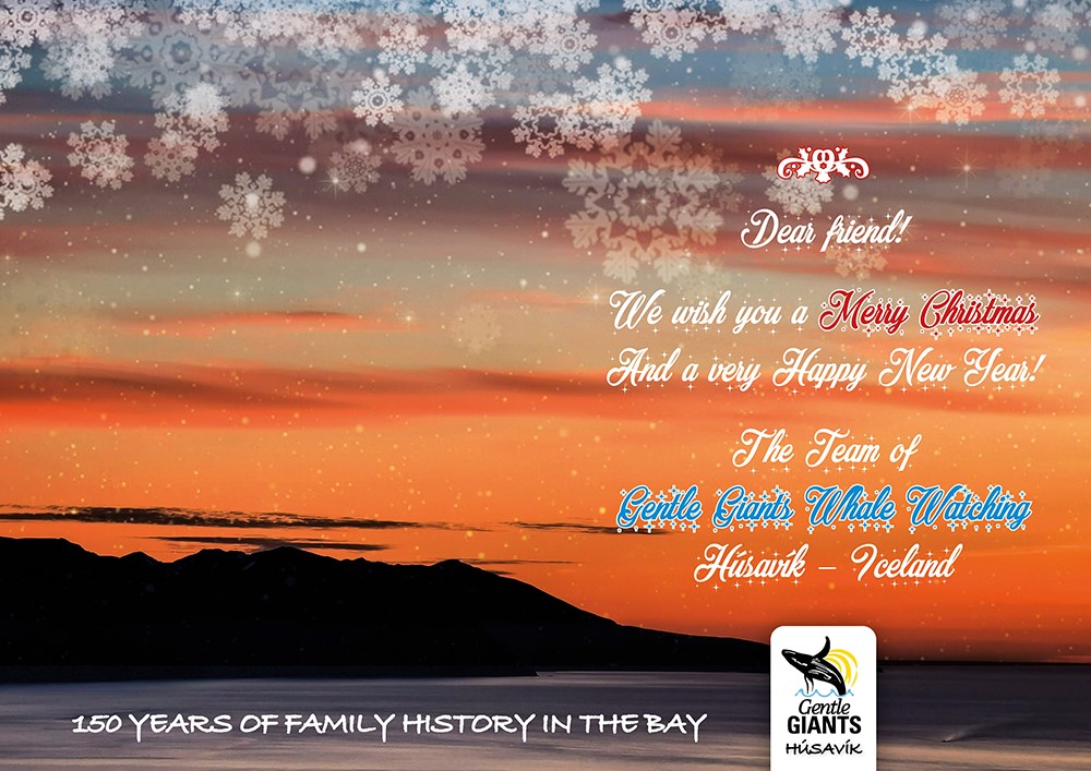 Christmas Greeting Gentle Giants Whale Watching Húsavík Iceland