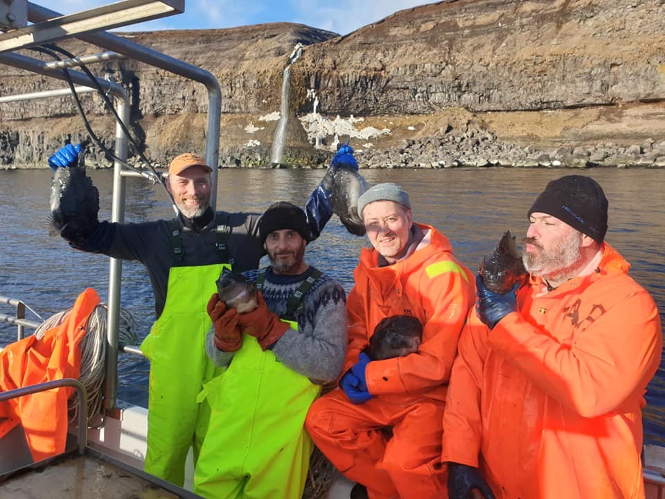 The successful lumpfish crew of Aþena - Gentle Giants Whale Watching Húsavík Iceland