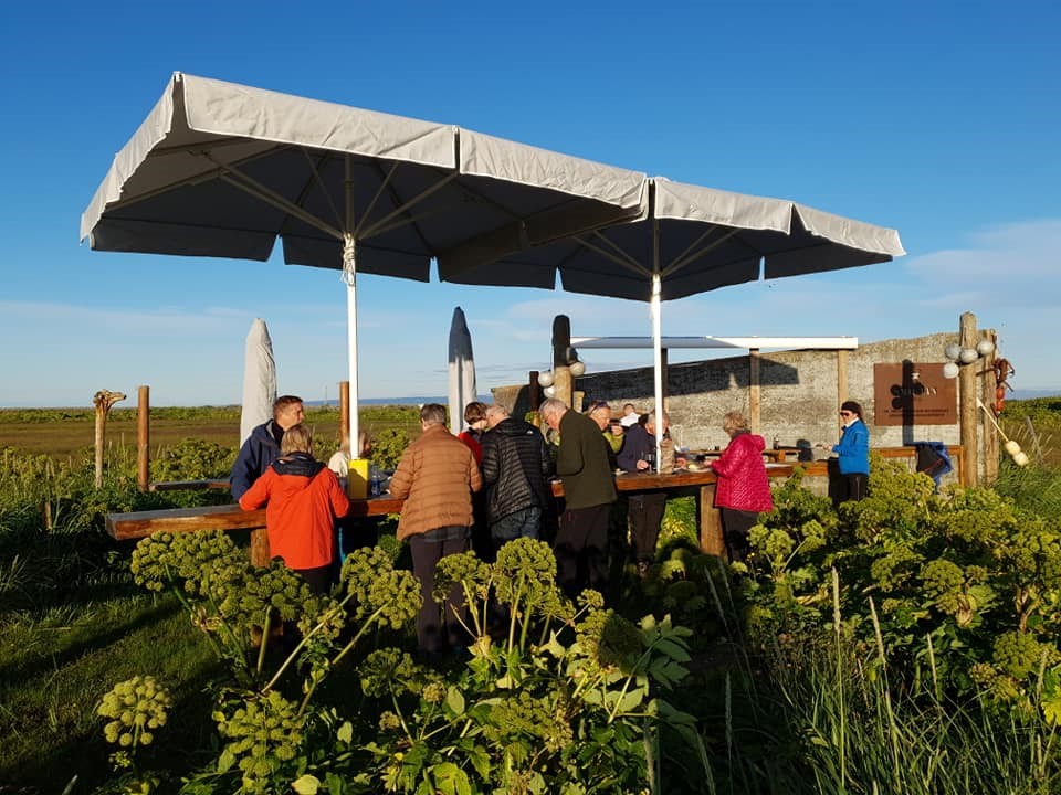 Luxury outdoor dining in beautiful surroundings in Flatey Island - Gentle Giants Whale Watching Húsavík Iceland