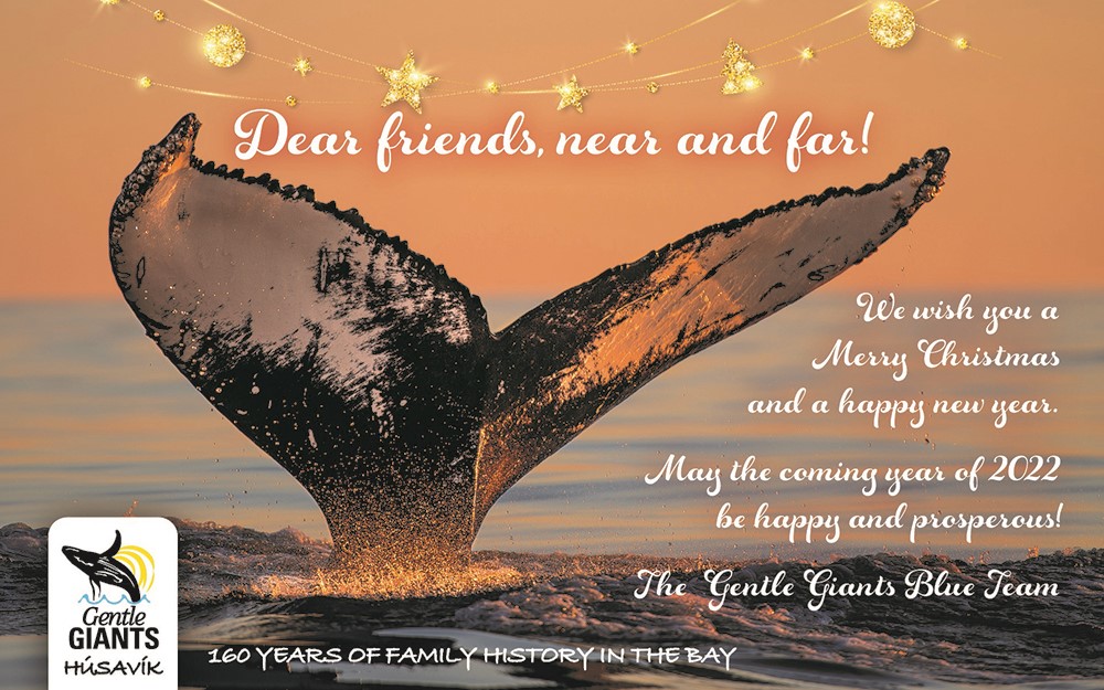 Christmas Greeting Gentle Giants Whale Watching Iceland