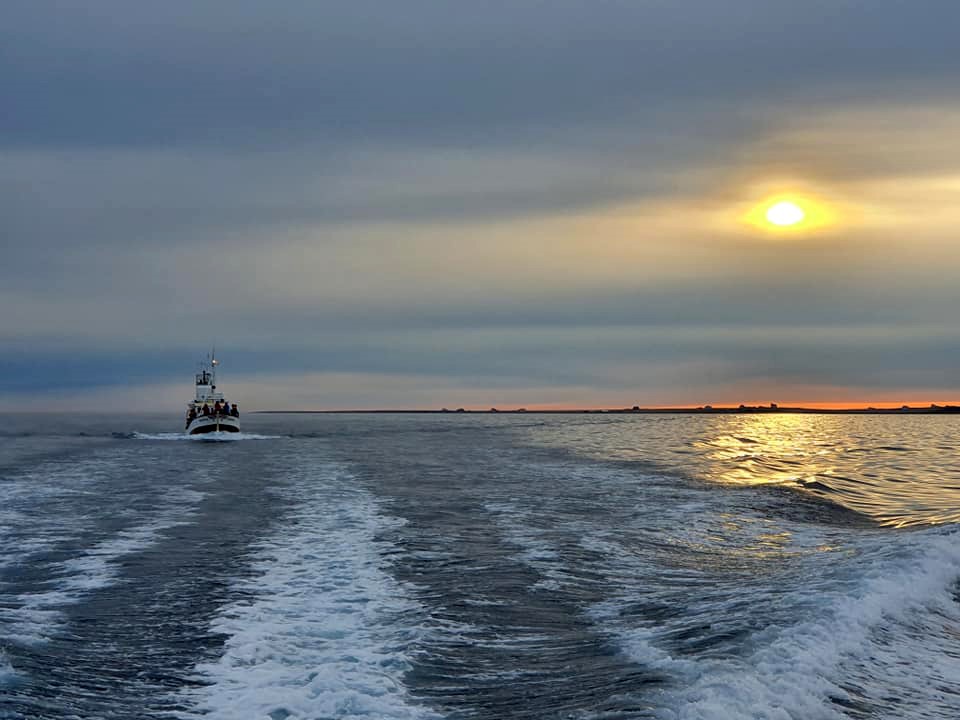 Annual report 2021 - Gentle Giants Whale Watching - Húsavík, Iceland - Sylvía sailing on Skjálfandi Bay