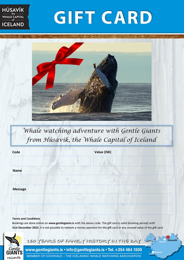 Gift card for a whale watching experience, Húsavík Iceland