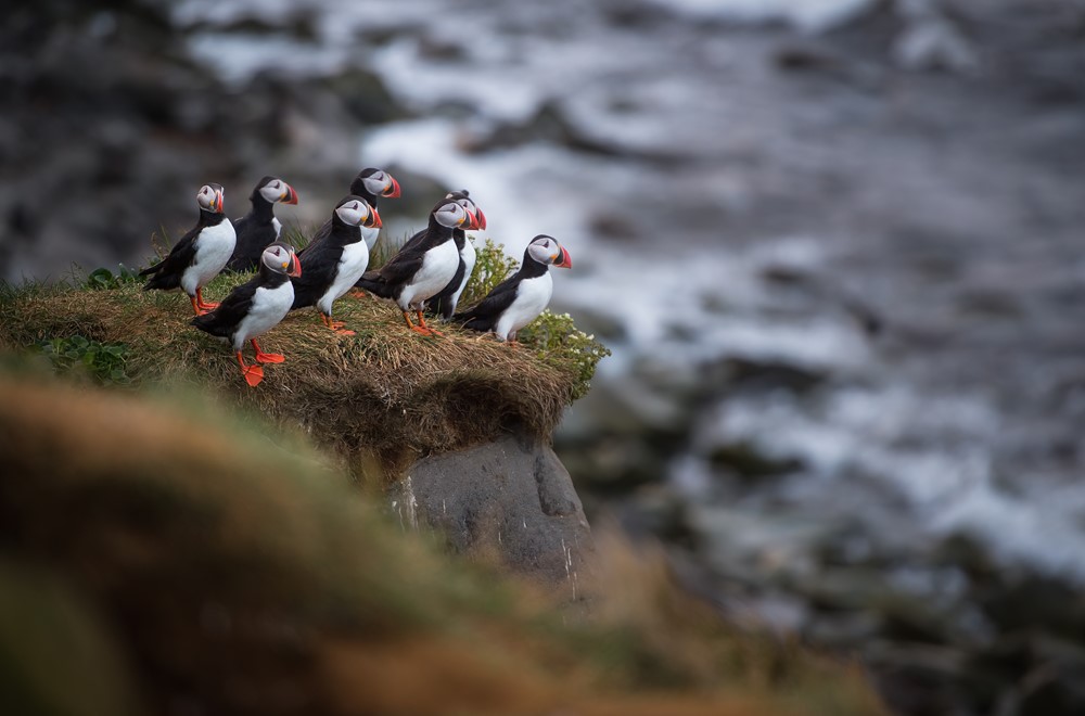 D42_2912-Edit_ Koen.jpg