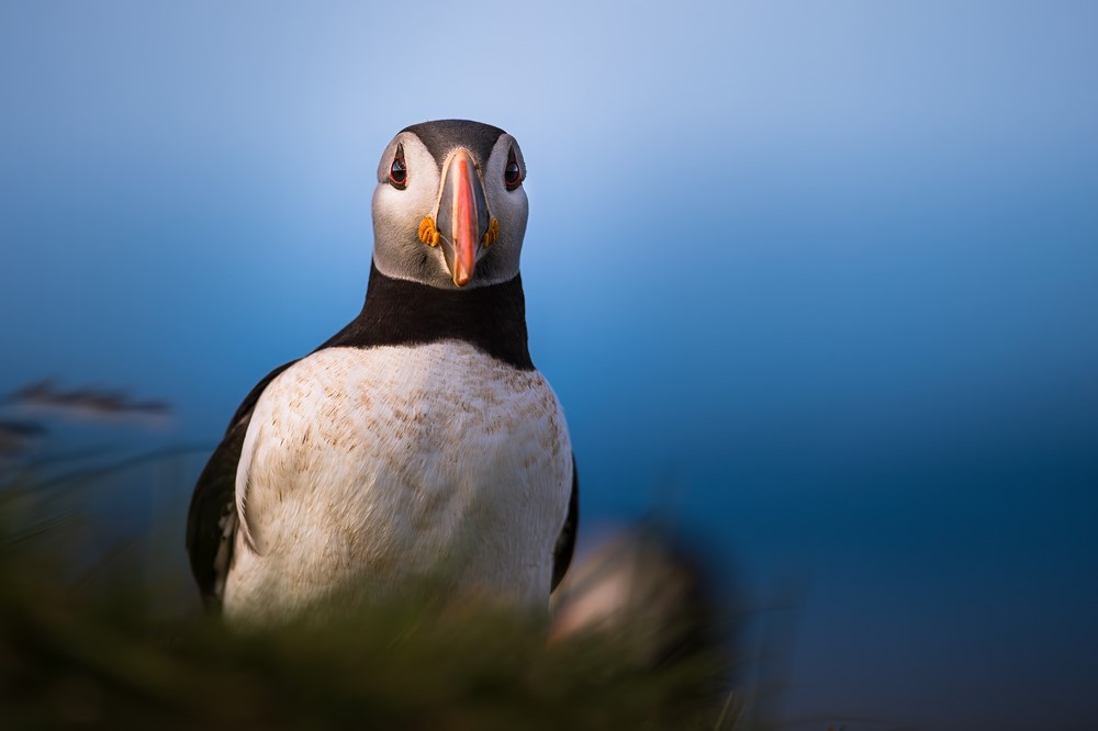 DSC_3531-Edit-Edit_ Koen.jpg