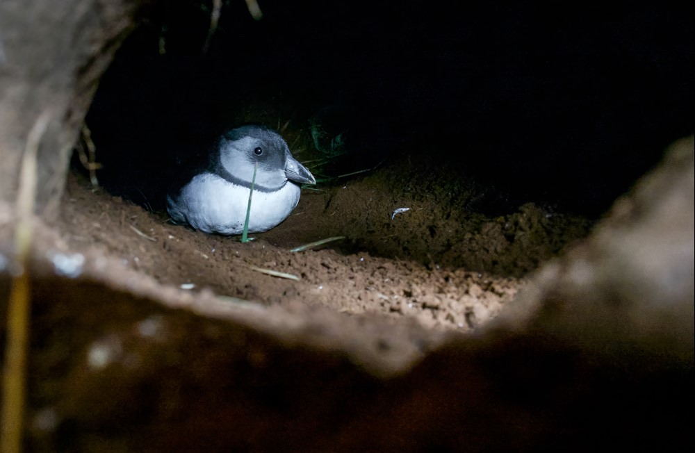 L1110309-Edit_ Koen.jpg