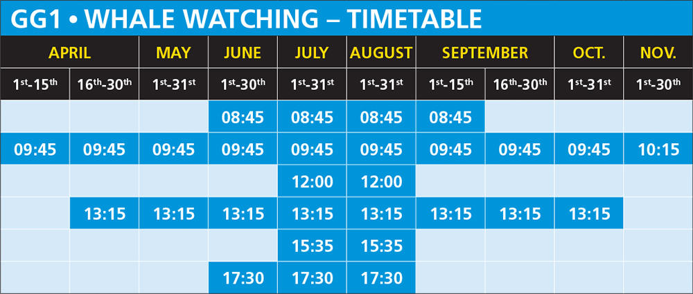 GG1 Whale Watching Timetable Húsavík Iceland 2023