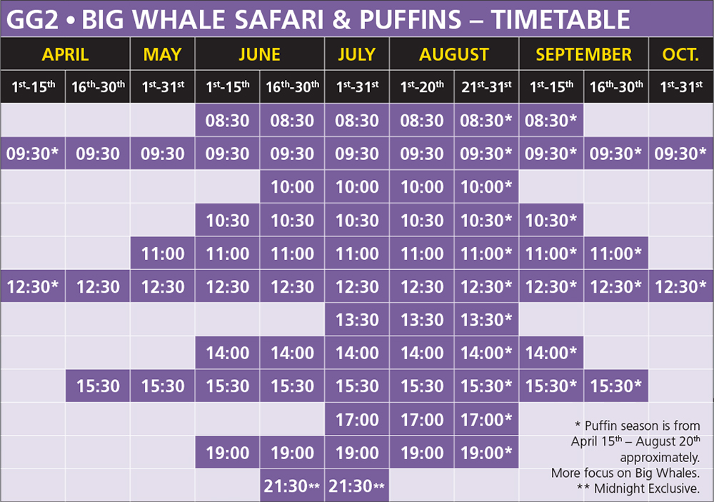 GG2 Big Whale Safari and Puffins Húsavík Iceland