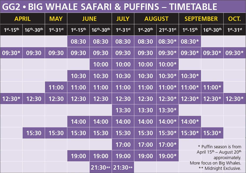 GG2 Big Whale Safari and Puffins Húsavík Iceland Whale Watching