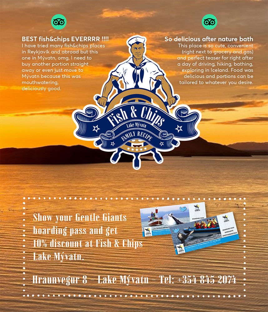 Fish and Chips discount Lake Mývatn Gentle Giants