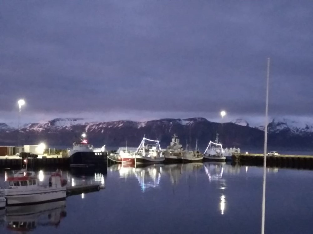 Húsavík harbour Christmas atmosphere