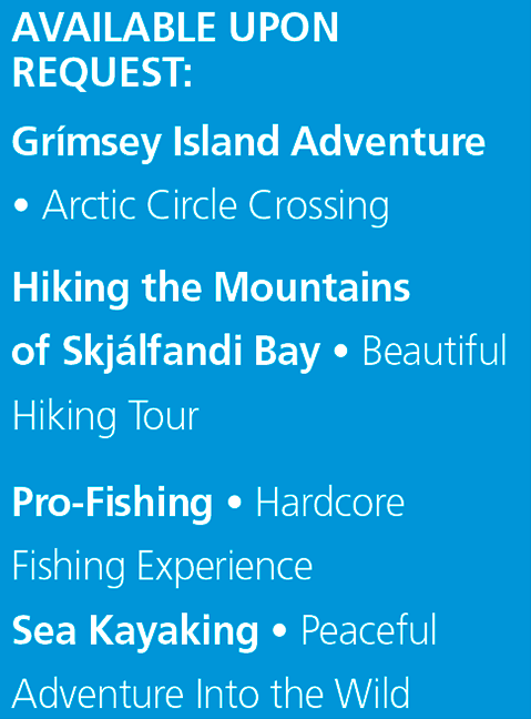 Tailor Made Tours Húsavík Iceland Gentle Giants Whale Watching