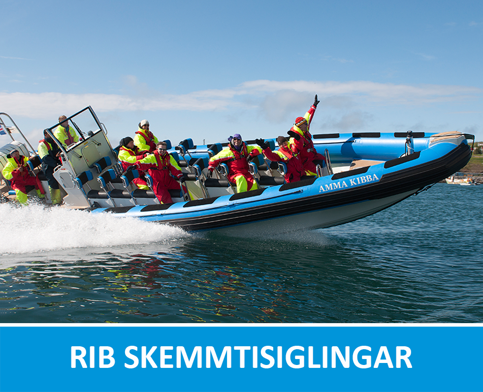 RIB skemmtisiglingar frá Húsavík, Ísland