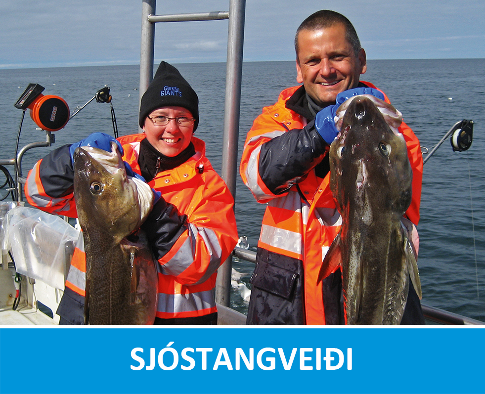 Sjóstangveiði frá Húsavík, Ísland