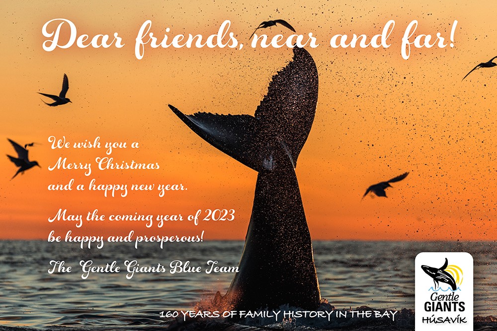 Happy Holidays from the team of Gentle Giants in Húsavík, Iceland
