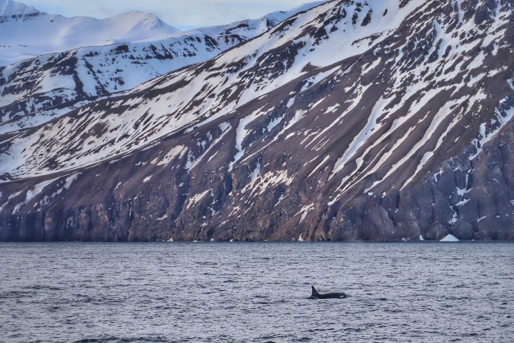 SA_Sylvía HUS-AKU_2.jpeg