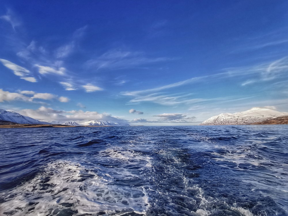 SA_Sylvía HUS-AKU_4.jpeg